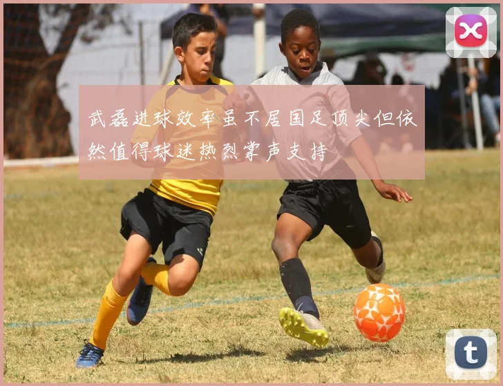 武磊进球效率虽不居国足顶尖但依然值得球迷热烈掌声支持
