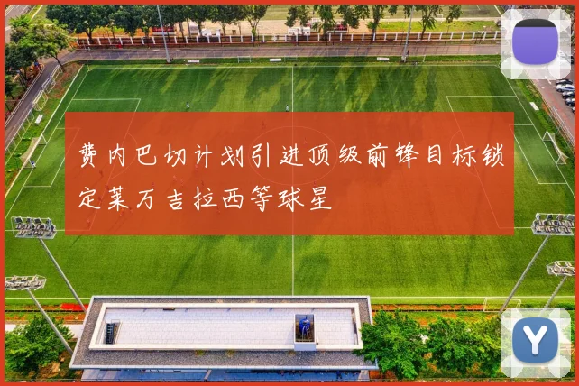 费内巴切计划引进顶级前锋目标锁定莱万吉拉西等球星